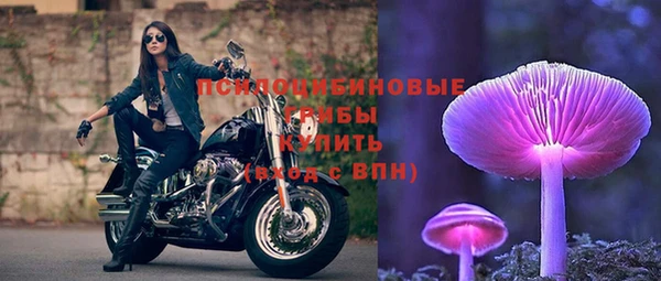 spice Алексин