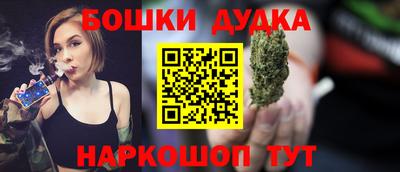 индика Можайск