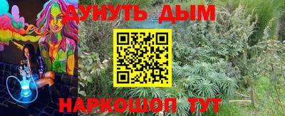 индика Можайск