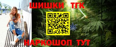 индика Можайск
