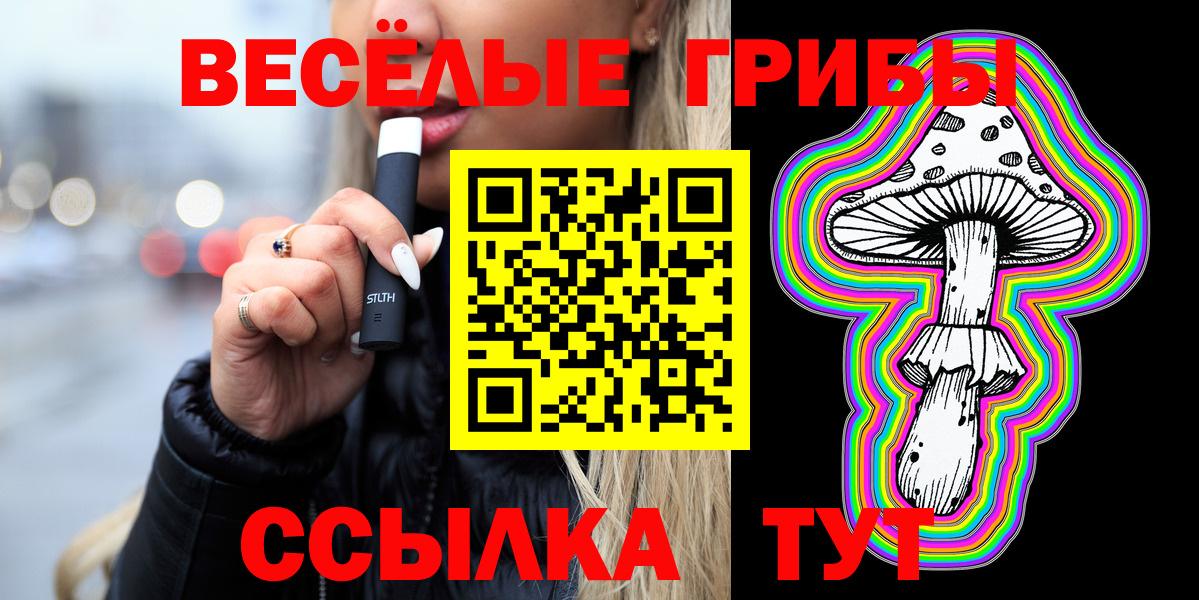 Борзя  Галлюциногенные грибы Magic Shrooms  Псилоцибиновые грибы Magic Shrooms  Вход с VPN 