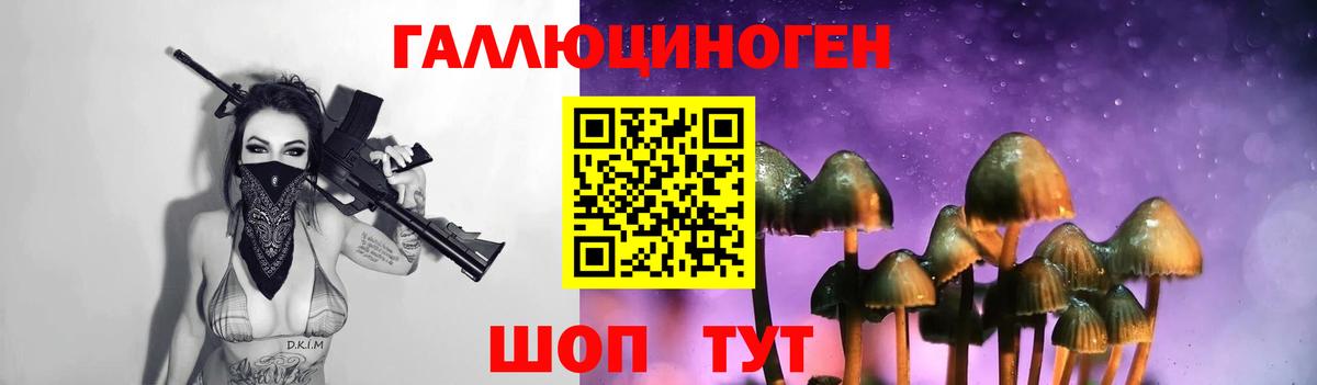 Галлюциногенные грибы мухоморы Борзя